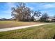 Community view showing a large tree and open green space at 13607 Circa Crossing Dr, Lithia, FL 33547