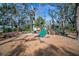 Playground with slides and climbing structures under shady trees at 13607 Circa Crossing Dr, Lithia, FL 33547