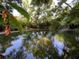 Serene waterway view with lush foliage and reflections at 1880 Belleair Rd, Clearwater, FL 33764