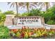 Esplanade of Tampa community entrance with landscaping and water feature at 20109 Sorano Hill Pl, Tampa, FL 33647