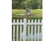 Red-shouldered hawk perched on a fence post at 26932 Sea Breeze Way, Wesley Chapel, FL 33544