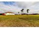 Expansive backyard featuring mature palm trees and a sprawling lawn, offering a sense of privacy and serenity at 6367 Foxbrook Trl, Parrish, FL 34219
