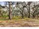 Secluded lot featuring mature trees and a natural landscape, offering privacy and a tranquil environment at 6367 Foxbrook Trl, Parrish, FL 34219