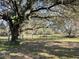 Spacious backyard with a large oak tree and tire swing at 6614 Papa Guy Ln, Plant City, FL 33565