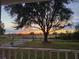 Sunset view from porch, open field at 6614 Papa Guy Ln, Plant City, FL 33565