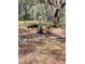 Two goats in a pasture with a tire at 6614 Papa Guy Ln, Plant City, FL 33565