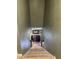 Modern staircase with dark green walls and wood steps at 6614 Papa Guy Ln, Plant City, FL 33565