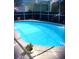 Inviting kidney-shaped pool with screened enclosure at 7524 Vienna Ln, Port Richey, FL 34668