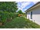 Fenced backyard with grassy area and mature vines at 8532 Kumquat Ave, Seminole, FL 33777