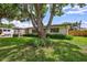 Ranch home with a large tree and spacious yard at 8532 Kumquat Ave, Seminole, FL 33777