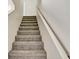 Staircase with carpeted steps and white railing at 10805 Keys Gate Dr, Riverview, FL 33579