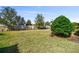 Expansive backyard featuring a lush green lawn, mature trees, and a stone perimeter fence at 11125 Callisia Dr, Odessa, FL 33556