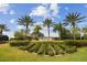 Community entrance sign for Esplanade at Starkey Ranch surrounded by lush landscaping and mature palms at 11125 Callisia Dr, Odessa, FL 33556