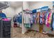 Large walk-in closet with ample shelving and hanging space at 4041 Woodland Retreat Blvd, New Port Richey, FL 34655