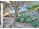 Fenced backyard with large tree and grill at 410 Pine Pointe Ct, Seffner, FL 33584