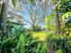 Lush tropical garden with large tree and partial house view at 1410 Bass Blvd, Dunedin, FL 34698