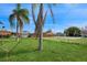 Large backyard with a grassy area, palm trees, and a partially visible fence at 3034 Domino Dr, Holiday, FL 34691