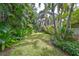 Lush green backyard with tropical plants and landscaping at 5934 115Th Ln, Seminole, FL 33772