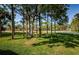 A lush, green lawn with mature trees provides plenty of shade and a scenic view at 7065 Sparkling Creek Ct, Spring Hill, FL 34606