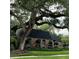 Brick home with black roof and landscaping under large oak tree at 807 Grove Park Ave, Tampa, FL 33609