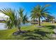 Landscaped backyard with tropical plants and a pond view at 8621 Ivy Stark Blvd, Wesley Chapel, FL 33545