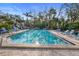 Refreshing community pool with lounge chairs and umbrellas at 113 Woodlake Wynde # 19, Oldsmar, FL 34677