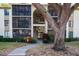 Exterior of condo building with walkway and landscaping at 1398 Shady Pine Way # E3, Tarpon Springs, FL 34688