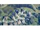 Aerial view of a residential community with houses and landscaping at 14214 Quintessa Ln, Lithia, FL 33547