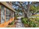 Walkway to the home entrance, landscaping included at 1455 Briarwood Ct, Safety Harbor, FL 34695