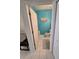 Small bathroom with teal walls, white fixtures, and a single sink at 30119 Wellesley Way, Wesley Chapel, FL 33543