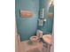 Clean and bright bathroom with teal walls and white fixtures at 30119 Wellesley Way, Wesley Chapel, FL 33543