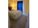 Bedroom with carpeted floors and window coverings at 30119 Wellesley Way, Wesley Chapel, FL 33543