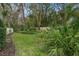 Private backyard with mature trees and lush foliage at 3045 Dominion Ct, Safety Harbor, FL 34695