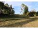Overgrown backyard with some trees and grass at 36847 Jefferson Ave, Dade City, FL 33523