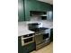 Modern kitchen with stainless steel appliances and dark green cabinets at 36847 Jefferson Ave, Dade City, FL 33523