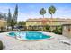 Community swimming pool with surrounding patio and lounge chair at 7606 Woodbridge Blvd, Tampa, FL 33615