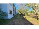 Backyard with grassy area and trees providing shade and privacy at 833 N Keene Rd # W12, Clearwater, FL 33755