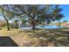 Peaceful lake view with a bench under a large shade tree at 833 N Keene Rd # W12, Clearwater, FL 33755