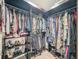 Large walk-in closet with ample shelving and hanging space at 19029 Chislehurst Dr, Land O Lakes, FL 34638