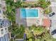 Aerial view of community pool with lounge chairs, tropical greenery, and building at 2109 Bayshore Blvd # 704, Tampa, FL 33606