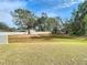 Spacious backyard with a large tree and surrounding landscape at 37804 Prairie Rose Loop, Zephyrhills, FL 33542