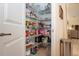 Well-organized pantry with ample shelving for storage at 13144 Green Violet Dr, Riverview, FL 33579