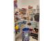 Well-organized pantry with ample shelving at 17009 Clear Cork Dr, Wimauma, FL 33598