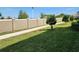 Landscaped side yard with a concrete walkway at 17009 Clear Cork Dr, Wimauma, FL 33598