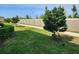 Neatly landscaped side yard with young trees at 17009 Clear Cork Dr, Wimauma, FL 33598