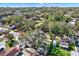 Aerial image showing a house nestled among trees in a quiet neighborhood at 1703 W Eldred Dr, Tampa, FL 33603