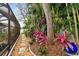 Landscaped walkway with colorful plants and stone path leads to the patio at 23 Concord Dr, Dunedin, FL 34698