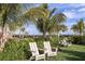 Relaxing lawn area with Adirondack chairs under palm trees at 29571 Velletri Ln, Wesley Chapel, FL 33545