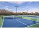 Multiple pickleball courts provide ample space for recreation at 29571 Velletri Ln, Wesley Chapel, FL 33545