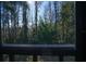 View of wooded backyard seen from screened porch at 1433 Pine Glen Pl # G2, Tarpon Springs, FL 34688